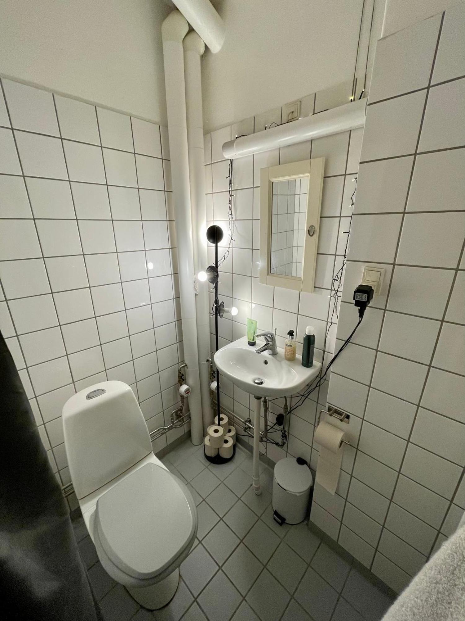 Lejlighed Med Udsigt Til Frederiksberg Have コペンハーゲン エクステリア 写真